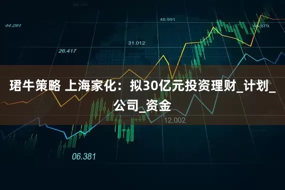 珺牛策略 上海家化：拟30亿元投资理财_计划_公司_资金