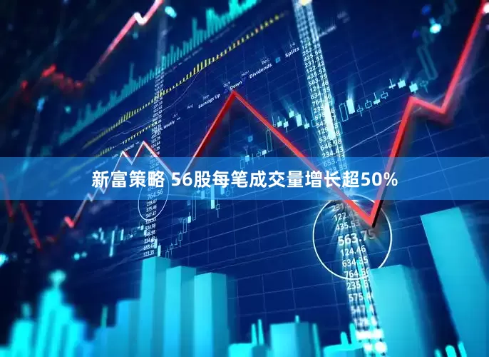 新富策略 56股每笔成交量增长超50%