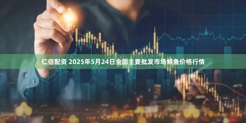 仁信配资 2025年5月24日全国主要批发市场鲟鱼价格行情