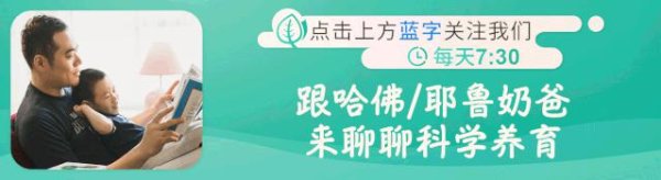 航心配资 《胡桃夹子》第十五集之《守护公主的大猫》