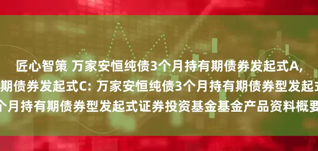 匠心智策 万家安恒纯债3个月持有期债券发起式A,万家安恒纯债3个月持有期债券发起式C: 万家安恒纯债3个月持有期债券型发起式证券投资基金基金产品资料概要(更新)